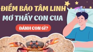 Nằm mơ thấy cua biển đánh số gì