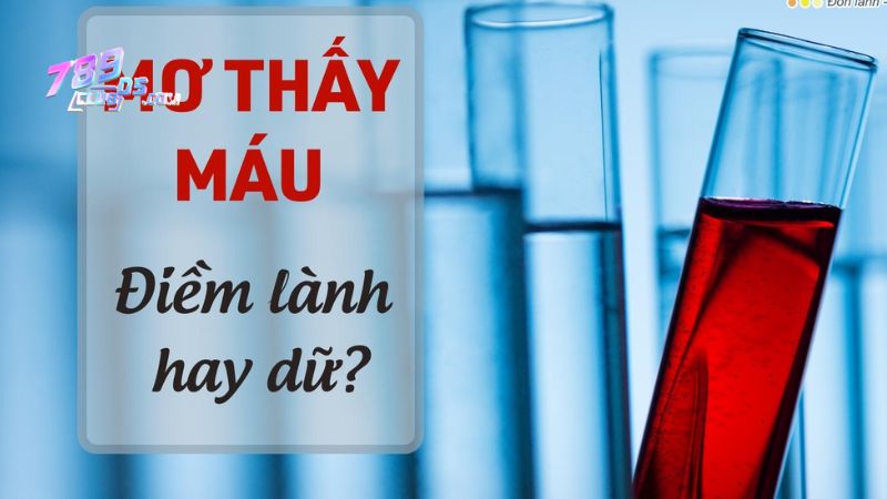 Nằm mơ thấy máu là điềm gì? Là điềm báo tốt hay xấu?